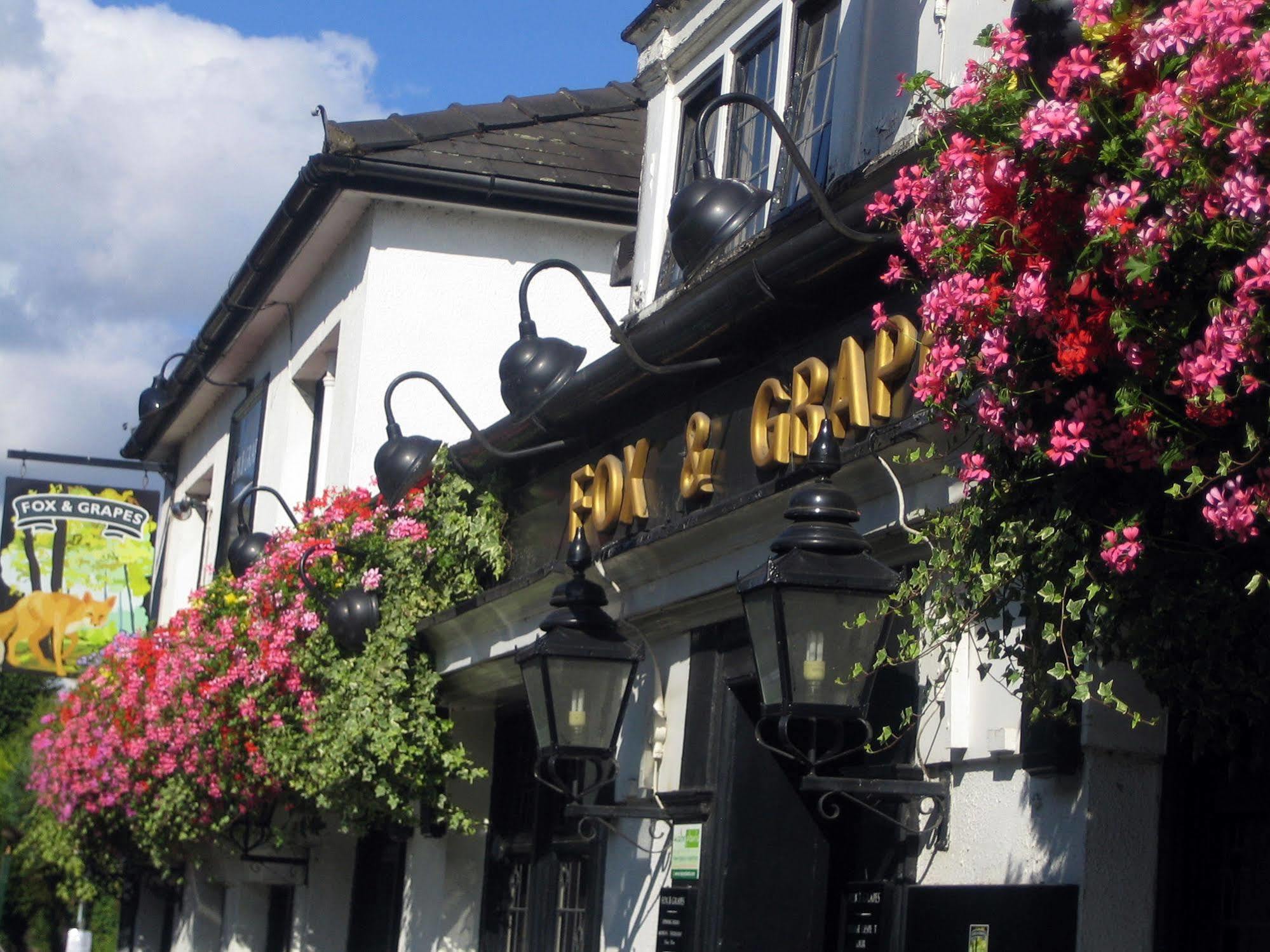 Fox And Grapes Hotel ลอนดอน ภายนอก รูปภาพ